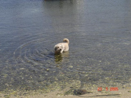 kenavo2005-0496