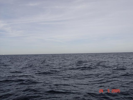 kenavo2005-0604