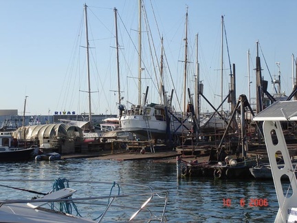 DSC01726