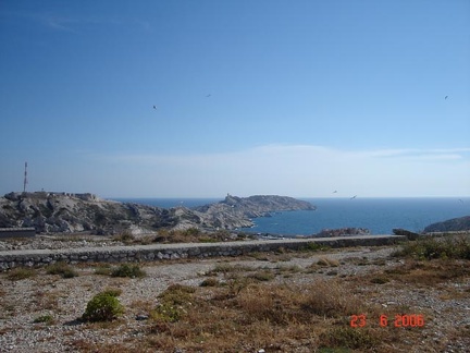 DSC02517